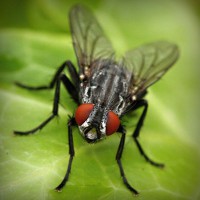 /album/casquettewatibsoldes/photolia-a01-jpg/