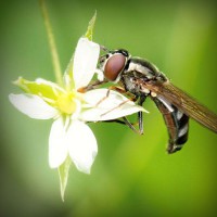 /album/casquettewatibsoldes/photolia-a02-jpg/