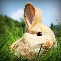 /album/casquettewatibsoldes/photolia-a03-jpg/