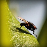 /album/casquettewatibsoldes/photolia-a04-jpg/