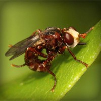 /album/casquettewatibsoldes/photolia-a06-jpg/