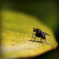 /album/casquettewatibsoldes/photolia-a07-jpg/