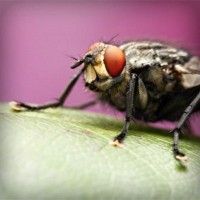 /album/casquettewatibsoldes/photolia-a08-jpg/